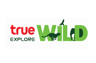 True Explore Wild